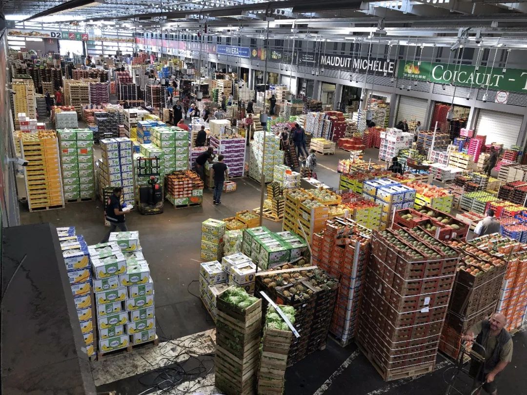 河北新發(fā)地集團董事長米亞林赴歐洲考察農(nóng)產(chǎn)品市場發(fā)展新模式